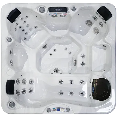 Avalon EC-849L hot tubs for sale in Waterbury