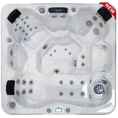Avalon-X EC-849LX hot tubs for sale in Waterbury