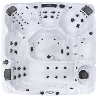 Avalon EC-867L hot tubs for sale in Waterbury